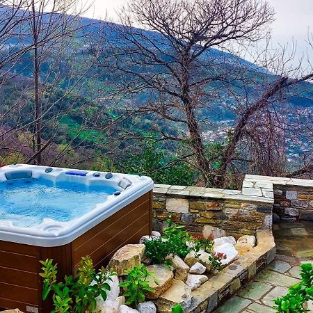 A Dream Deferred Villa Pelion 基索斯 外观 照片