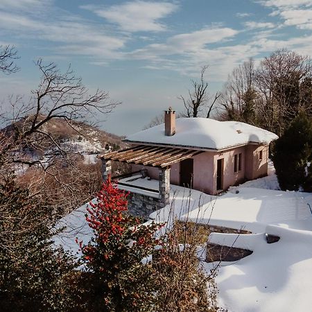 A Dream Deferred Villa Pelion 基索斯 外观 照片
