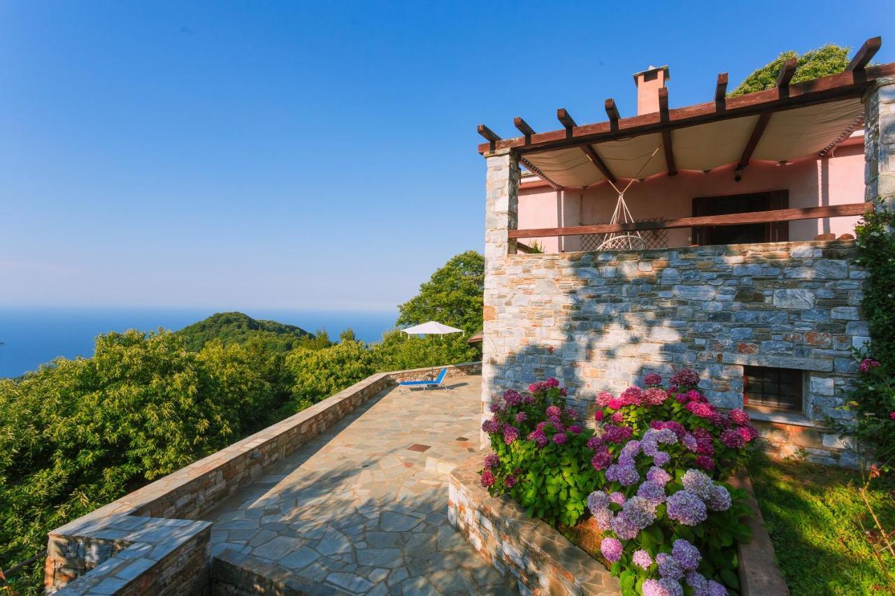 A Dream Deferred Villa Pelion 基索斯 外观 照片