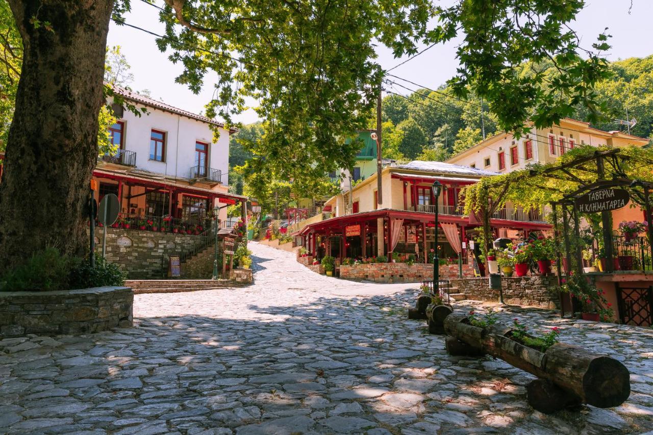 A Dream Deferred Villa Pelion 基索斯 外观 照片