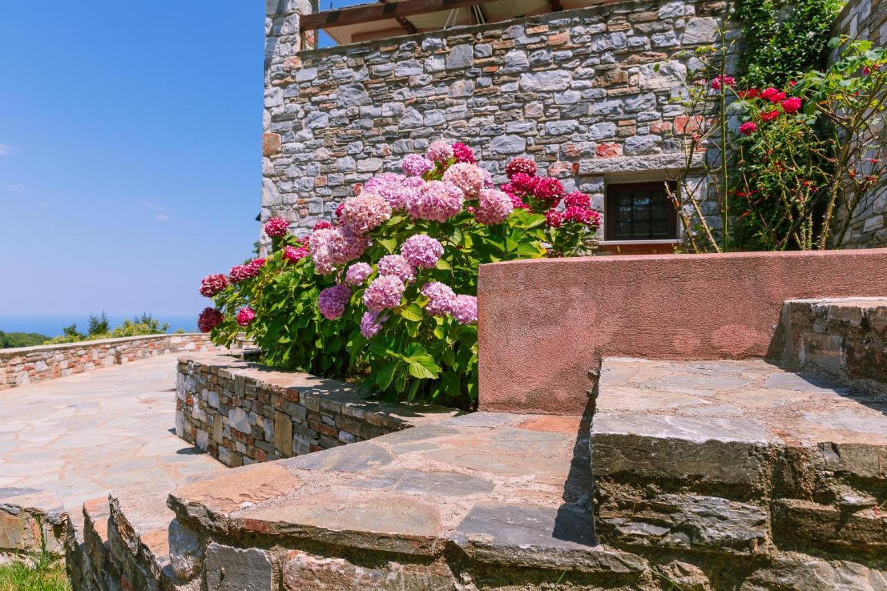 A Dream Deferred Villa Pelion 基索斯 外观 照片