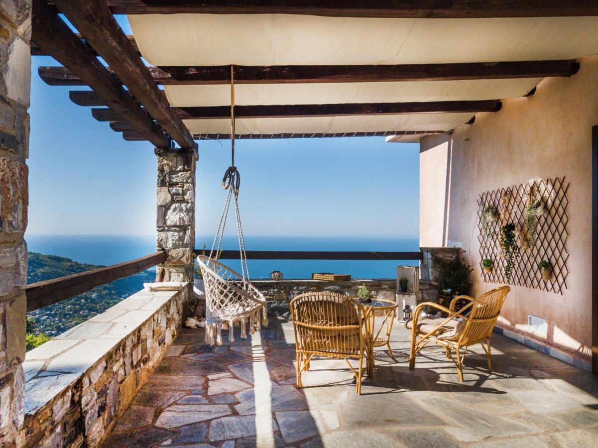 A Dream Deferred Villa Pelion 基索斯 外观 照片