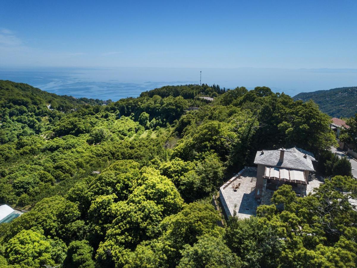 A Dream Deferred Villa Pelion 基索斯 外观 照片