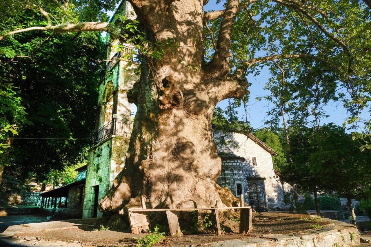 A Dream Deferred Villa Pelion 基索斯 外观 照片