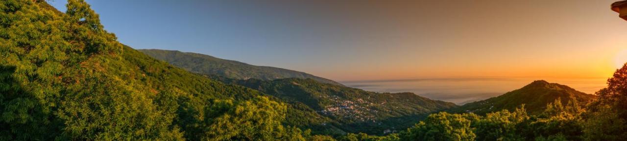 A Dream Deferred Villa Pelion 基索斯 外观 照片