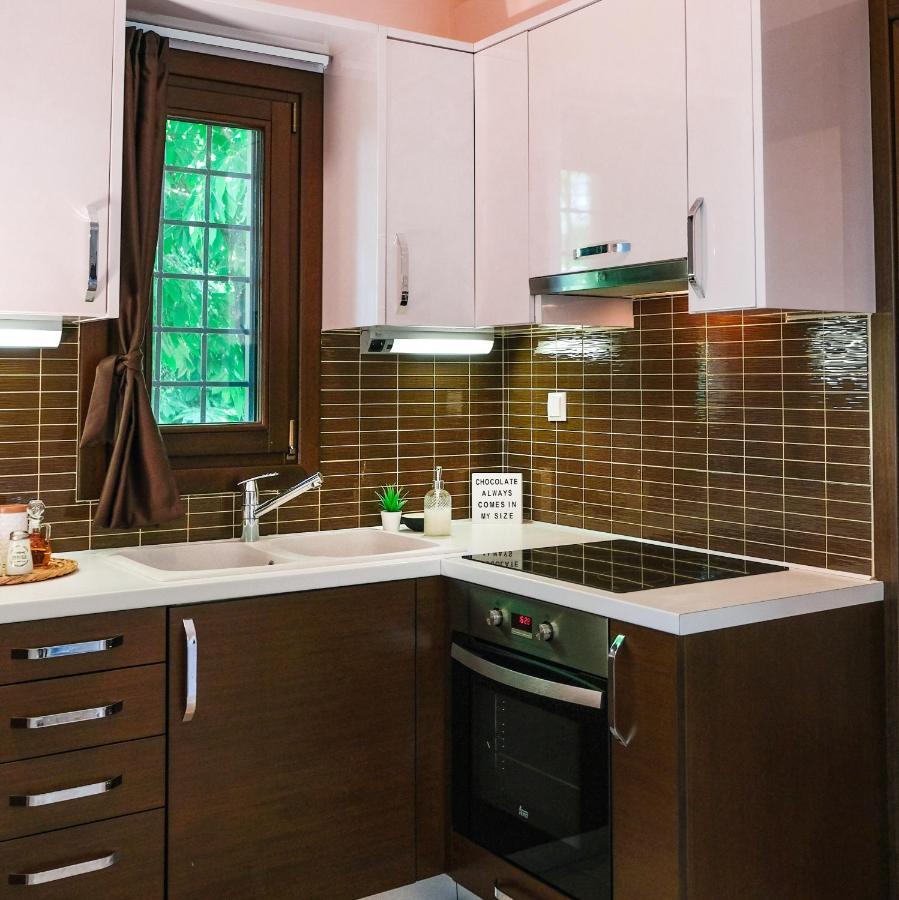 A Dream Deferred Villa Pelion 基索斯 外观 照片