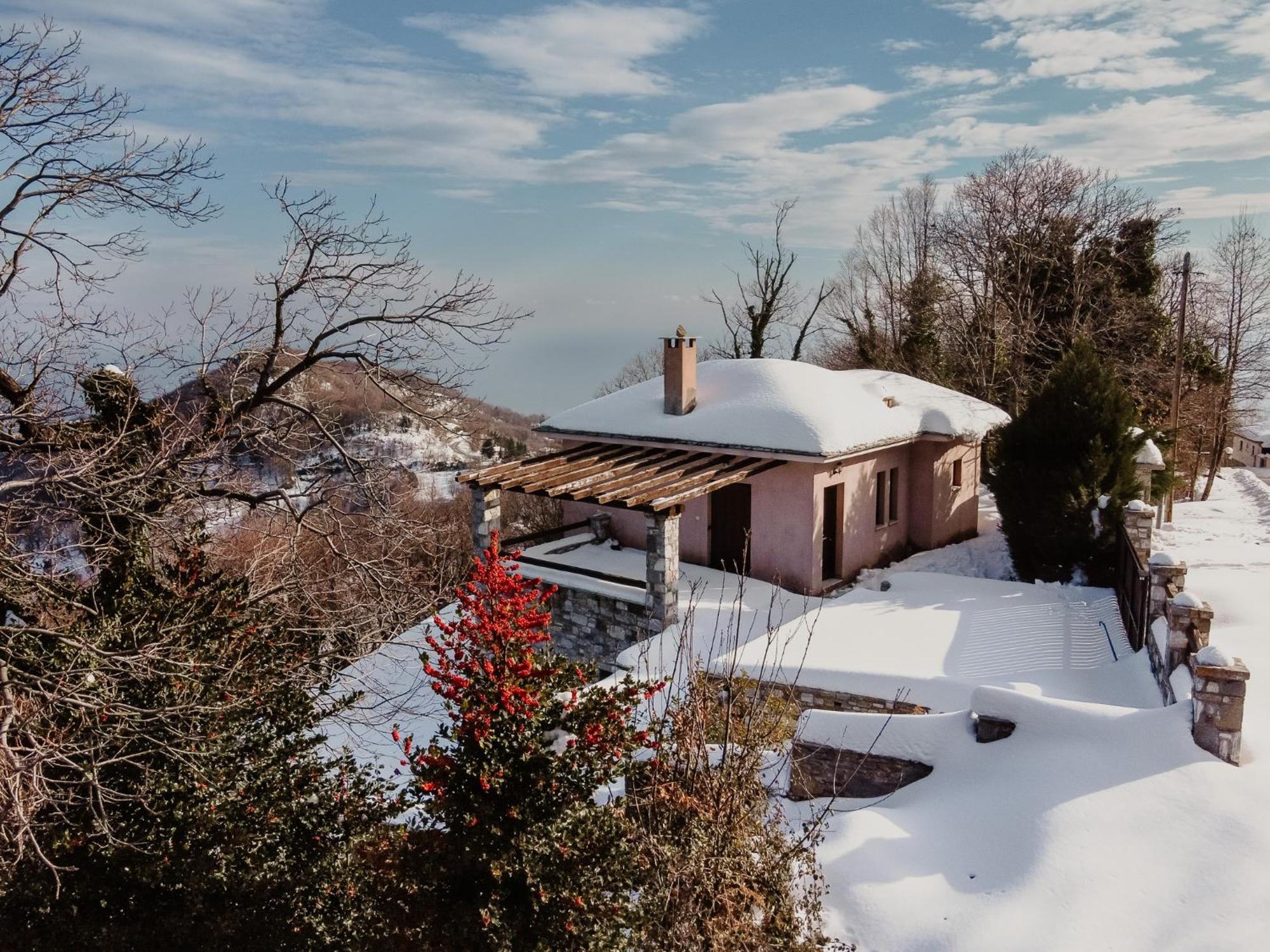 A Dream Deferred Villa Pelion 基索斯 外观 照片