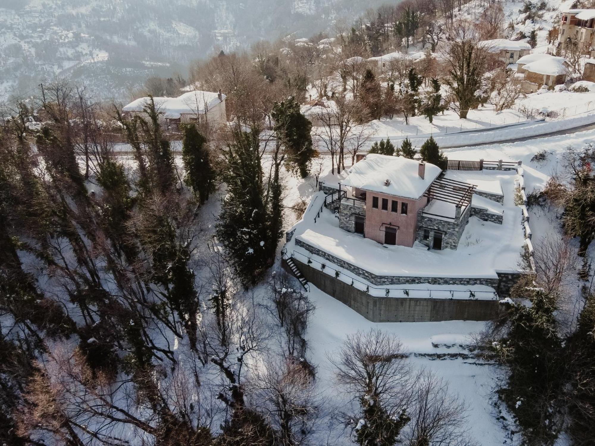 A Dream Deferred Villa Pelion 基索斯 外观 照片