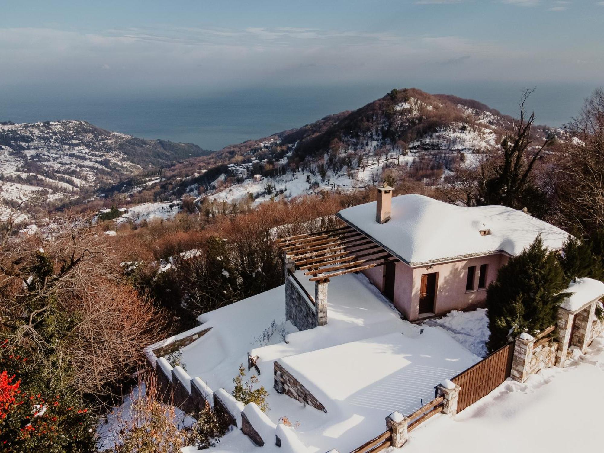 A Dream Deferred Villa Pelion 基索斯 外观 照片