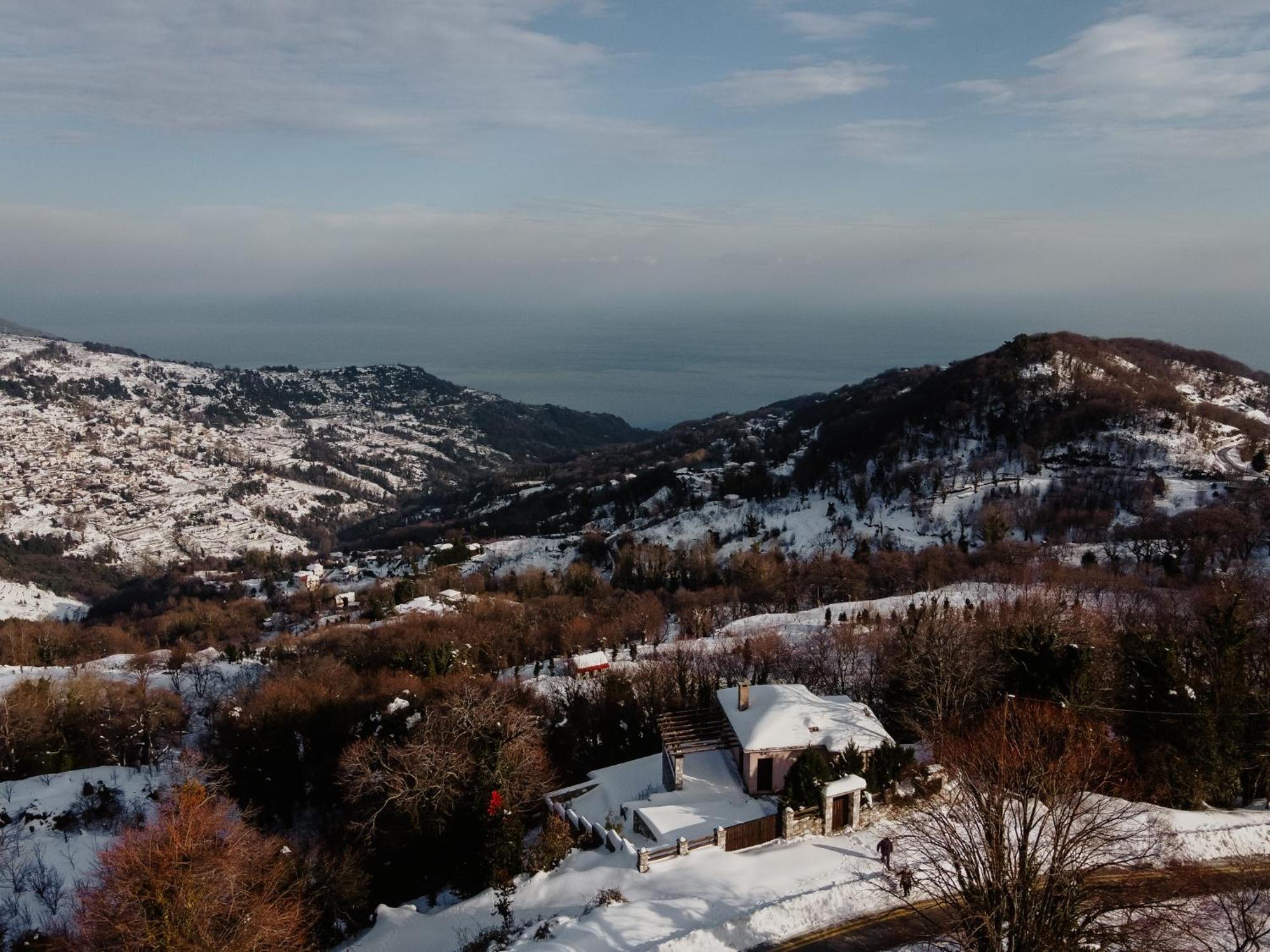 A Dream Deferred Villa Pelion 基索斯 外观 照片