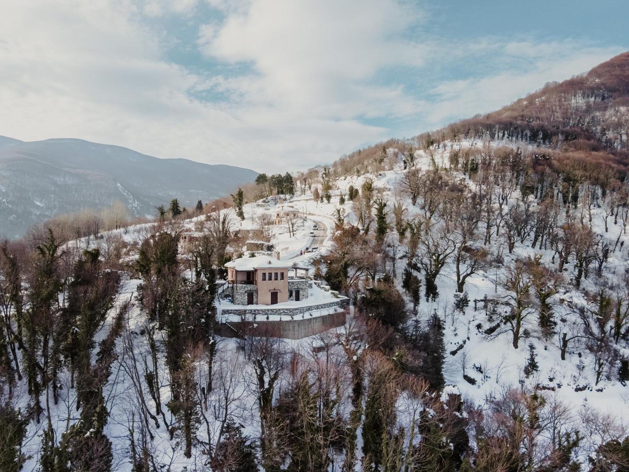 A Dream Deferred Villa Pelion 基索斯 外观 照片